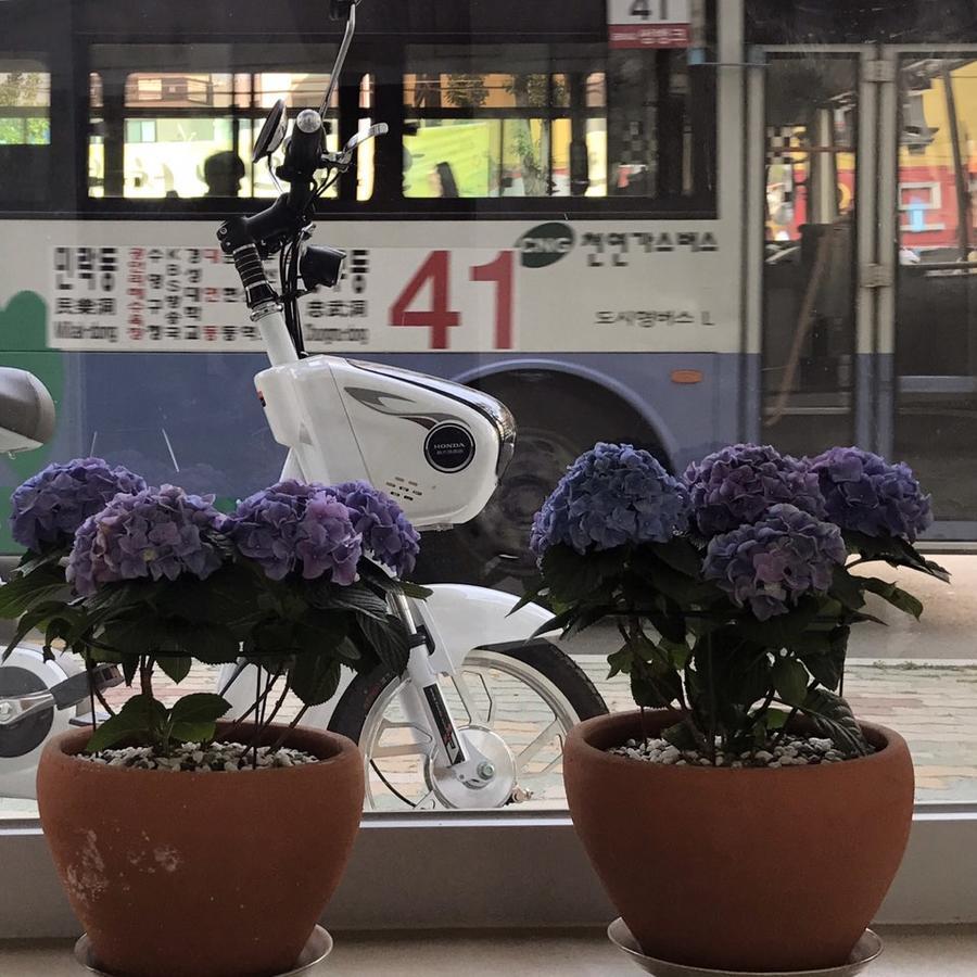 木屋酒店 釜山 外观 照片
